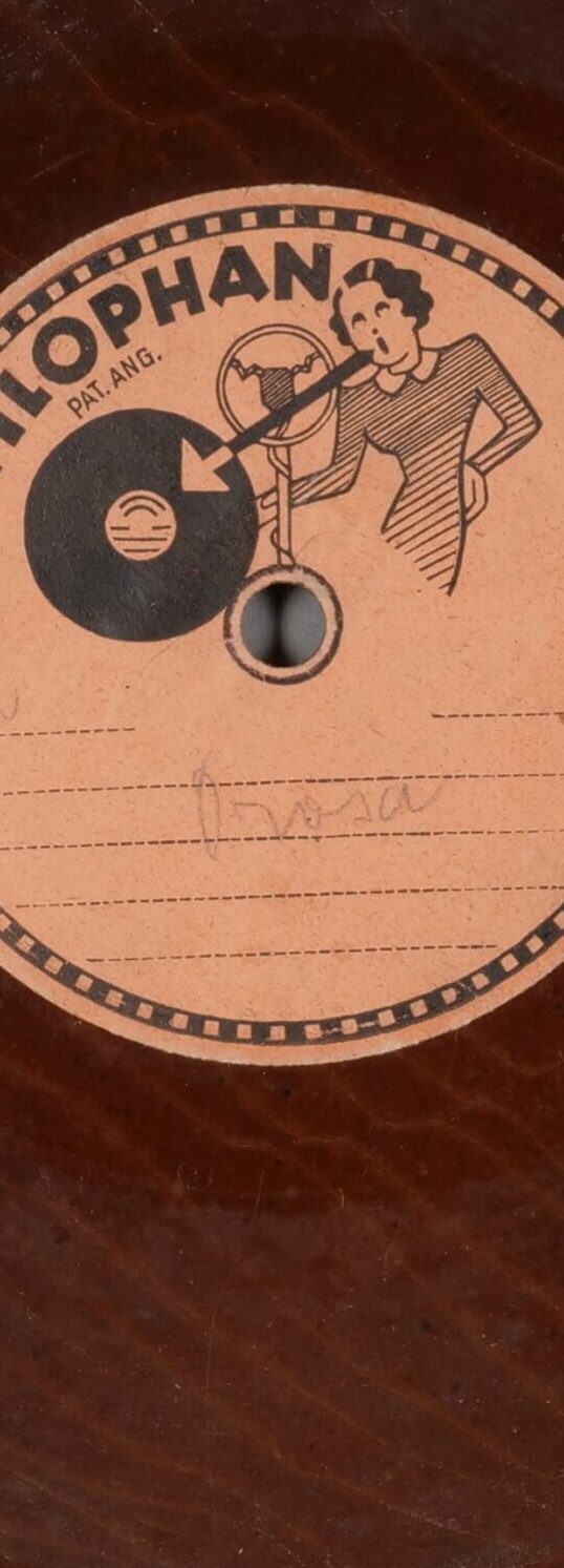 Fleeting Voices. Preserving Acoustic Heritage in the Archives and the Arts